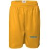 Pro Mesh 9" Shorts Thumbnail